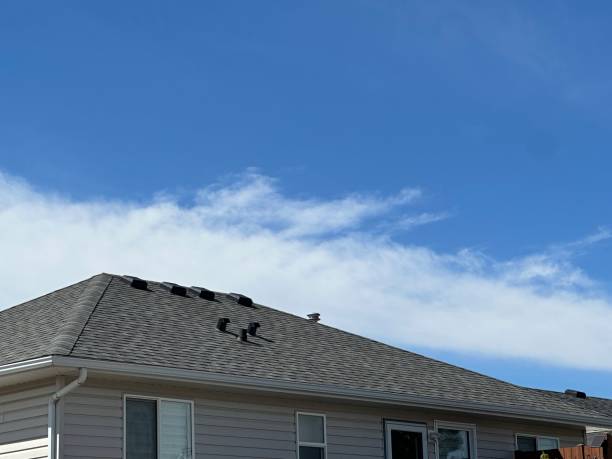 Best Roof Leak Repair  in Cross Plains, WI